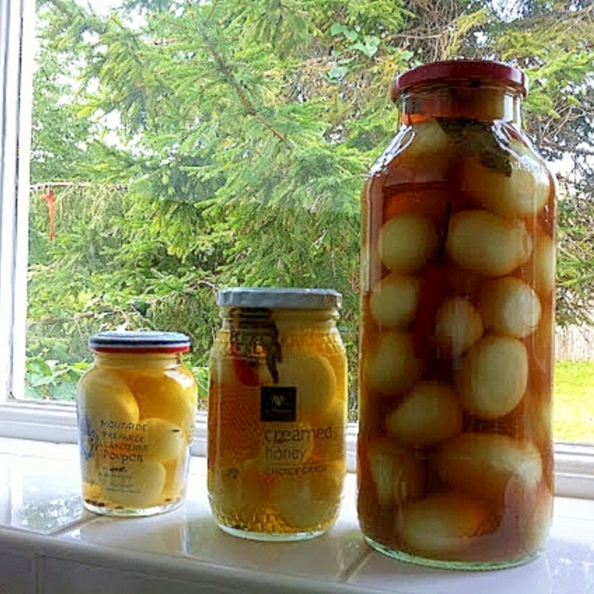 甘くない小たまねぎのモルトビネガーピクルス レシピ 作り方 By モモグラモ 楽天レシピ